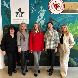 Участь в міжнародній академічній мобільності